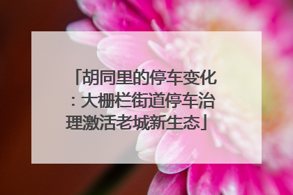 胡同里的停车变化：大栅栏街道停车治理激活老城新生态