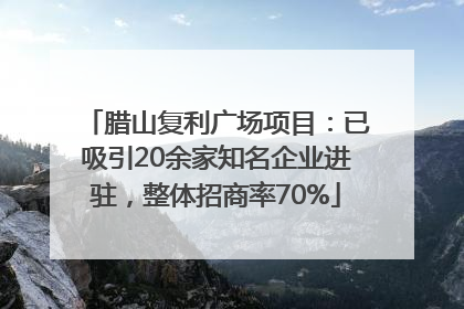 腊山复利广场项目：已吸引20余家知名企业进驻，整体招商率70%