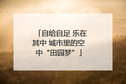 自给自足 乐在其中 城市里的空中“田园梦”
