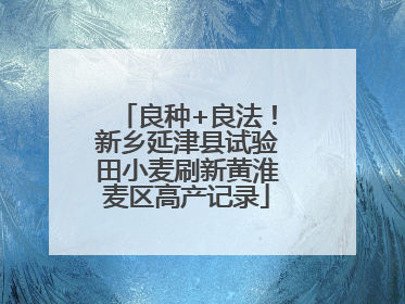 良种+良法！新乡延津县试验田小麦刷新黄淮麦区高产记录