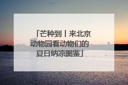 芒种到丨来北京动物园看动物们的夏日纳凉图鉴