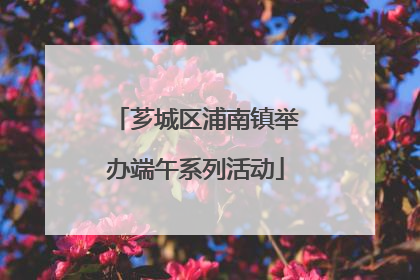 芗城区浦南镇举办端午系列活动