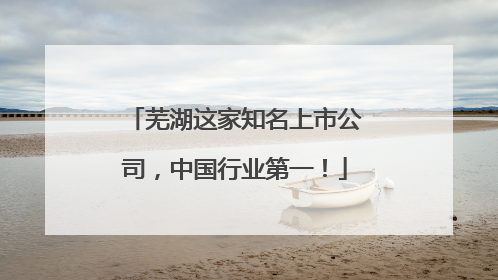 芜湖这家知名上市公司，中国行业第一！