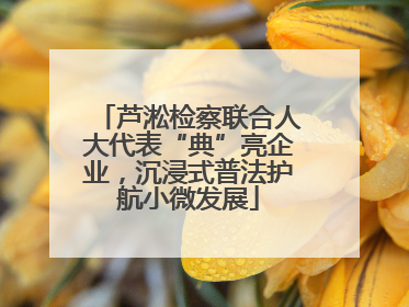 芦淞检察联合人大代表“典”亮企业,沉浸式普法护航小微发展