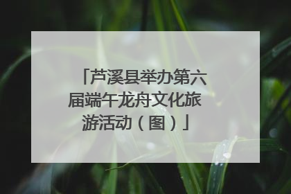 芦溪县举办第六届端午龙舟文化旅游活动（图）