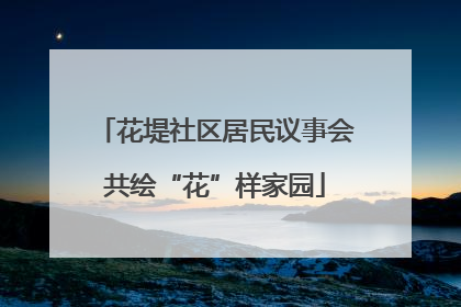 花堤社区居民议事会共绘“花”样家园