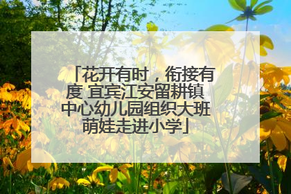 花开有时，衔接有度 宜宾江安留耕镇中心幼儿园组织大班萌娃走进小学
