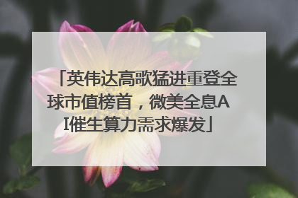 英伟达高歌猛进重登全球市值榜首，微美全息AI催生算力需求爆发