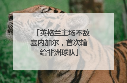 英格兰主场不敌塞内加尔，首次输给非洲球队