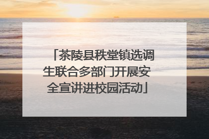 茶陵县秩堂镇选调生联合多部门开展安全宣讲进校园活动