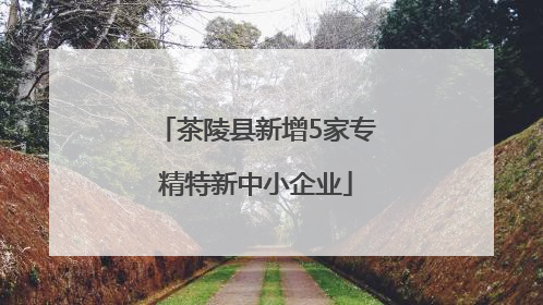 茶陵县新增5家专精特新中小企业