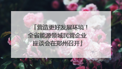 营造更好发展环境！全省能源领域民营企业座谈会在郑州召开