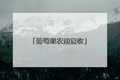 葡萄果农迎夏收