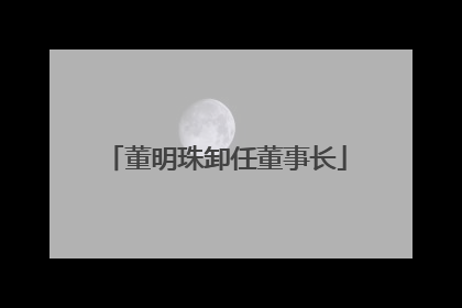 董明珠卸任董事长