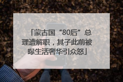 蒙古国“80后”总理遭解职，其子此前被曝生活奢华引众怒