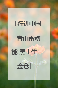 行进中国｜青山蓄动能 黑土生金仓