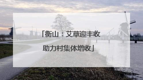 衡山：艾草迎丰收 助力村集体增收