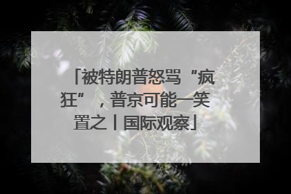 被特朗普怒骂“疯狂”，普京可能一笑置之丨国际观察