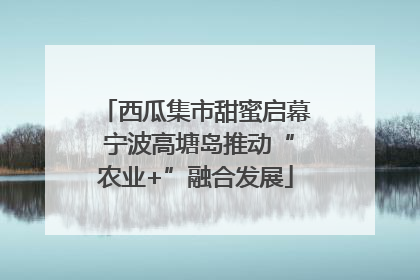西瓜集市甜蜜启幕 宁波高塘岛推动“农业+”融合发展
