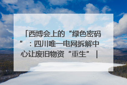 西博会上的“绿色密码”：四川唯一电网拆解中心让废旧物资“重生”｜西博寻“新”记