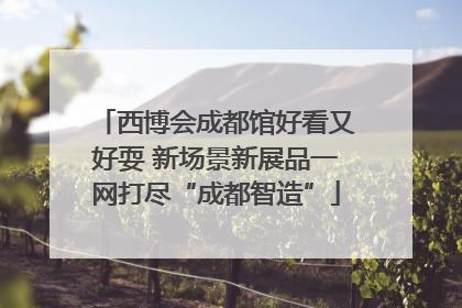 西博会成都馆好看又好耍 新场景新展品一网打尽“成都智造”