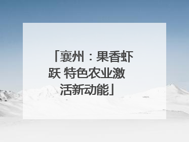 襄州：果香虾跃 特色农业激活新动能