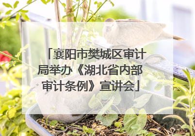 襄阳市樊城区审计局举办《湖北省内部审计条例》宣讲会