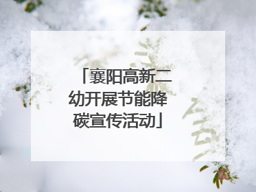 襄阳高新二幼开展节能降碳宣传活动