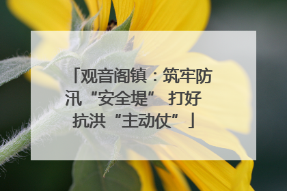 观音阁镇：筑牢防汛“安全堤” 打好抗洪“主动仗”