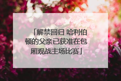 解禁回归 哈利伯顿的父亲已获准在包厢观战主场比赛