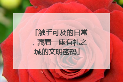 触手可及的日常，藏着一座有礼之城的文明密码