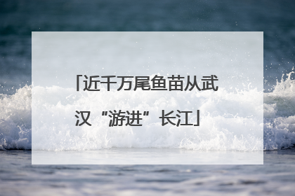 近千万尾鱼苗从武汉“游进”长江
