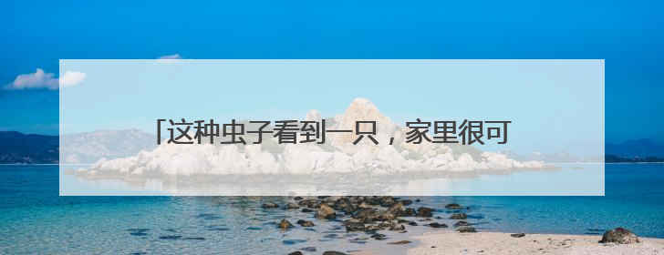 这种虫子看到一只，家里很可能已有一万只（不是蟑螂）
