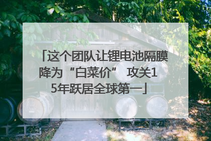 这个团队让锂电池隔膜降为“白菜价” 攻关15年跃居全球第一