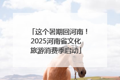 这个暑期回河南！2025河南省文化旅游消费季启动