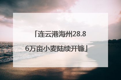连云港海州28.86万亩小麦陆续开镰