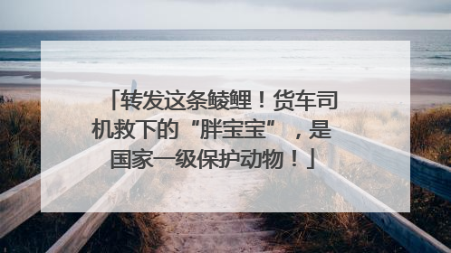 转发这条鲮鲤！货车司机救下的“胖宝宝”，是国家一级保护动物！
