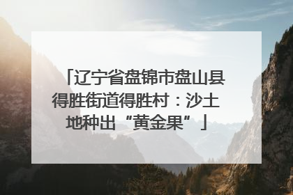 辽宁省盘锦市盘山县得胜街道得胜村：沙土地种出“黄金果”