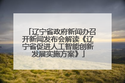 辽宁省政府新闻办召开新闻发布会解读《辽宁省促进人工智能创新发展实施方案》