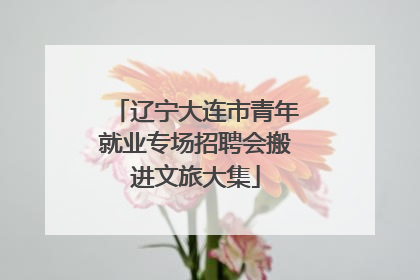 辽宁大连市青年就业专场招聘会搬进文旅大集
