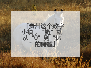 贵州这个数字小镇，“链”就从“0”到“亿”的跨越