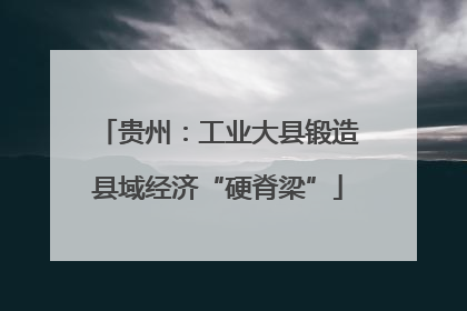 贵州：工业大县锻造县域经济“硬脊梁”