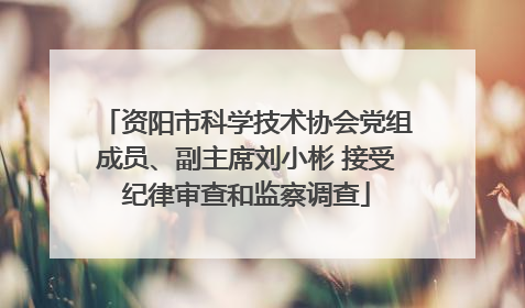 资阳市科学技术协会党组成员、副主席刘小彬 接受纪律审查和监察调查