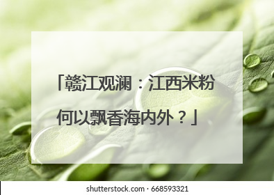 赣江观澜：江西米粉何以飘香海内外？