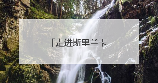 走进斯里兰卡的橡胶种植园
