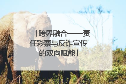 跨界融合——责任彩票与反诈宣传的双向赋能