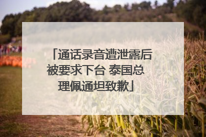 通话录音遭泄露后被要求下台 泰国总理佩通坦致歉