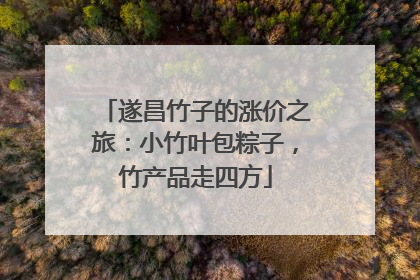 遂昌竹子的涨价之旅：小竹叶包粽子，竹产品走四方