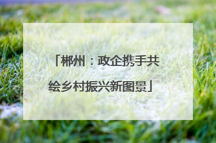 郴州：政企携手共绘乡村振兴新图景