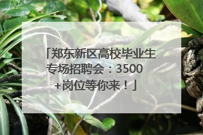 郑东新区高校毕业生专场招聘会：3500+岗位等你来！
